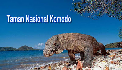 Menikmati Pesona Alam Taman Nasional Komodo  MENIKMATI PESONA ALAM TAMAN NASIONAL KOMODO