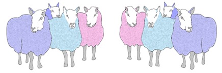 Animal Stencil_Sheeps_pecore