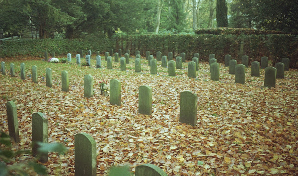 Graven, Begraafplaats Orthen, Den Bosch