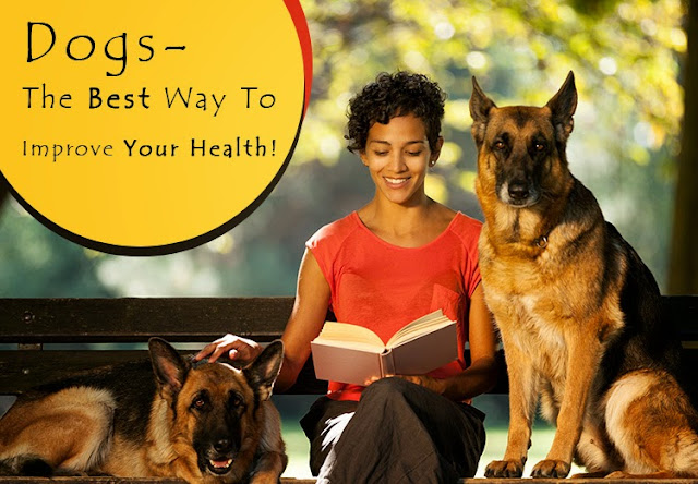 Dogs Are Useful For Better Health In Humans