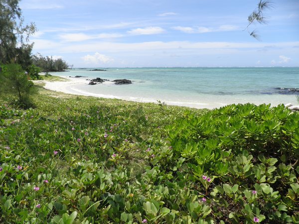 Plage de rêve