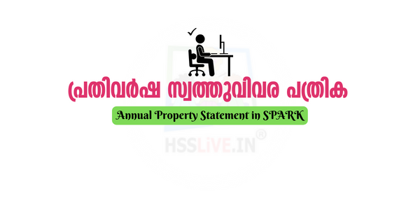 How to fill Annual Property Statement in SPARK?