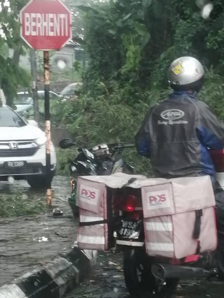 Rider Maut Dihempap Pokok 3