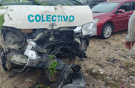 Un chofer abandona un colectivo al destrozarlo contra unos árboles