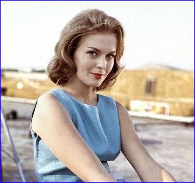 Jean Seberg Marshalltown 13111938 Parigi 809979 stata un'attrice 