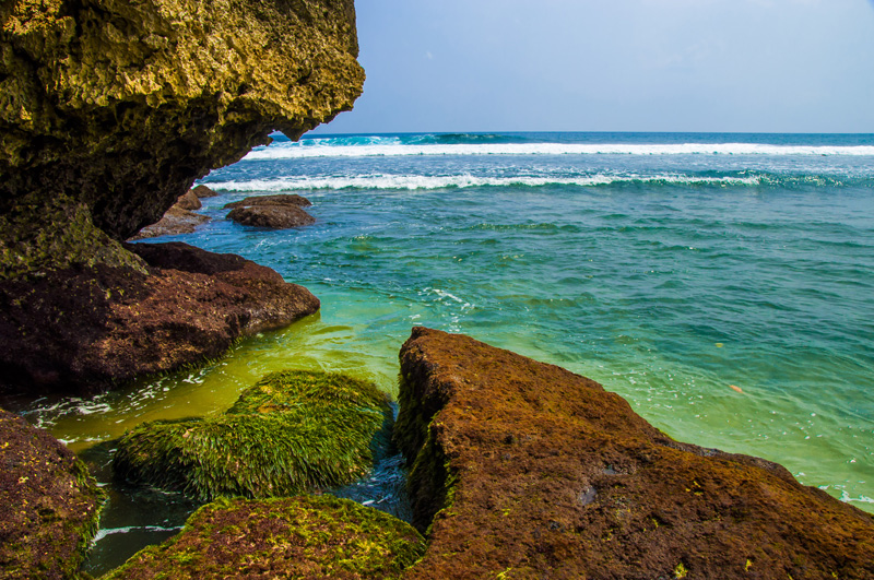 Bewisata Ke Pantai Nganteb  MANISA TRAVEL MALANG Travel 