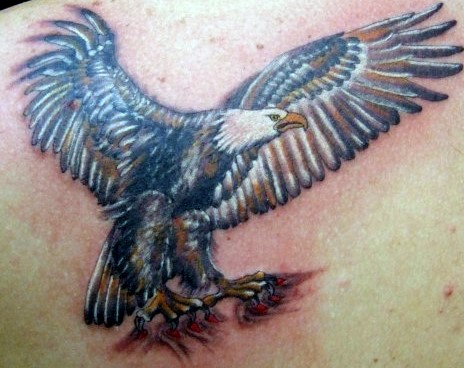 Eagle Tattoo Designs