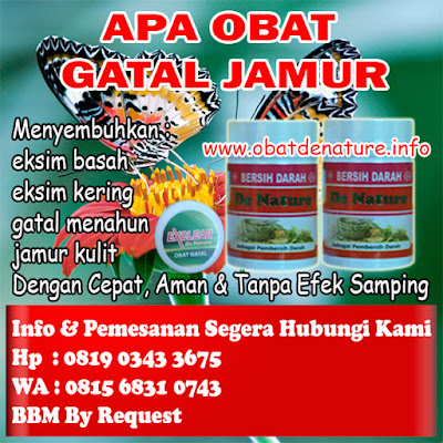 APA OBAT GATAL JAMUR