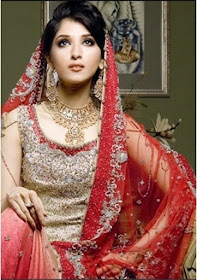 Pakistani Wedding Dress
