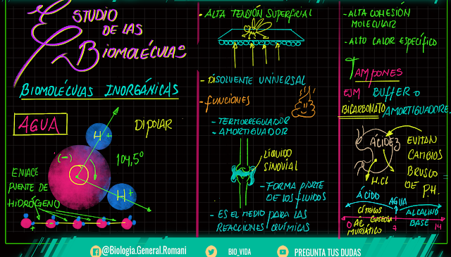 estructura molecular del agua