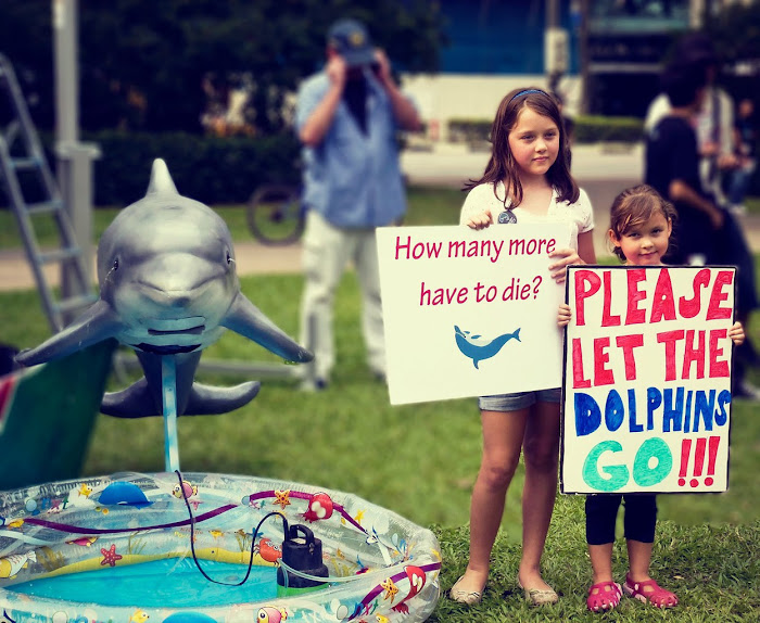 Save Dolphins