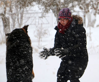 A having fun in the snow with Rambo