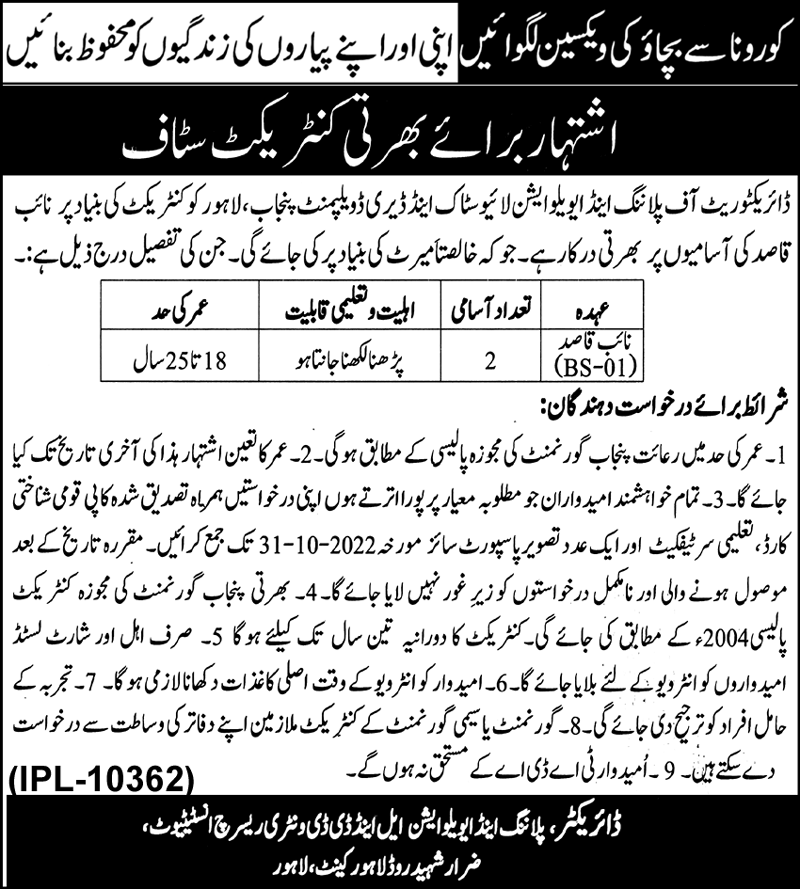 Latest Livestock and Dairy Development Department Management Posts Lahore 2022