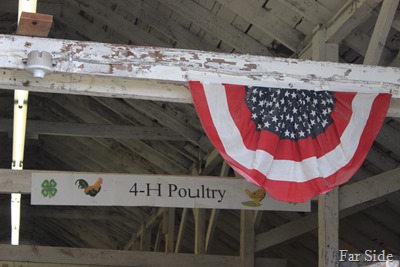 old chicken barn