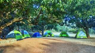 Yelagiri Adventure Camp |Yelagiri Camping and Trekking 