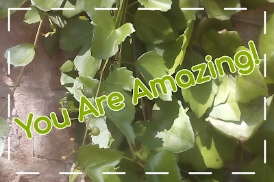 [Image Description] Photo of a green vine over a brick wall with a white dashed border and the words, You Are Amazing!