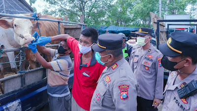 Polres Situbondo Bersama Dinas Peternakan Cek Kesehatan Hewan di Pasar Kemisan