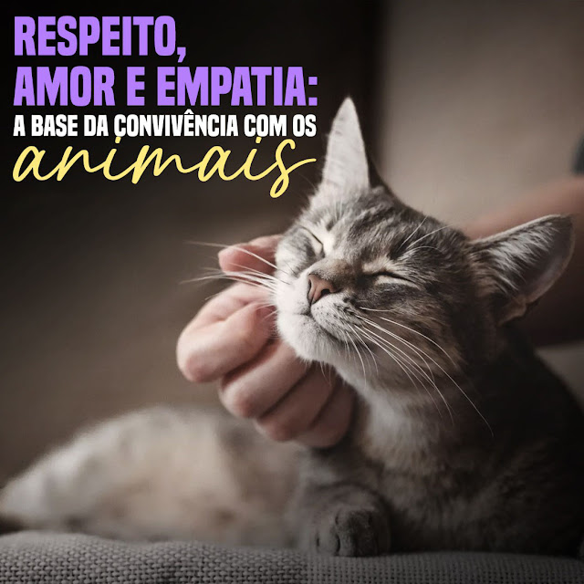 Respeite os animais!
