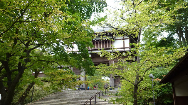 Castle gate through trees