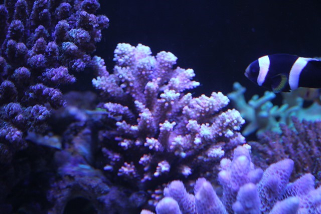 IMG_9797 IMG_9797
