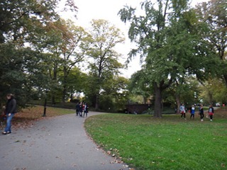 064dev-DSC04821