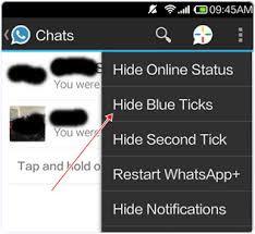 Whatsapp Notification