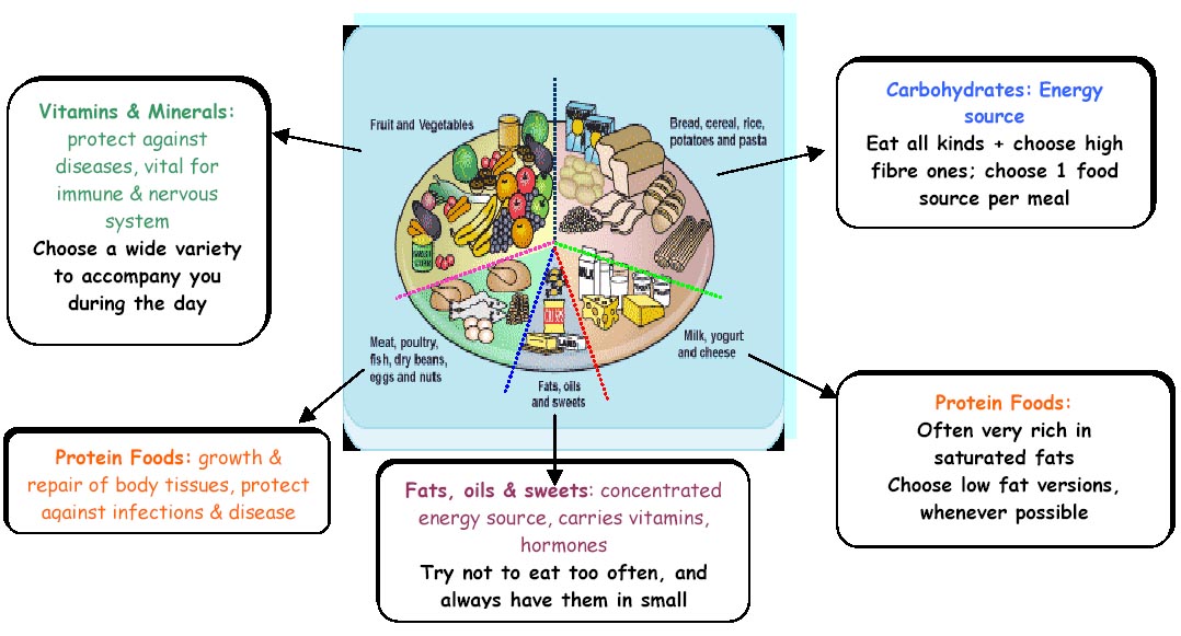 Importance of balanced diet or healthy food is clear when we see that ...