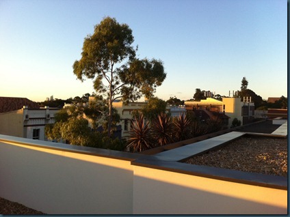 photo (7)