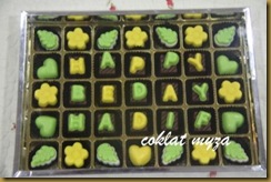 Coklat 6.4.2011 041