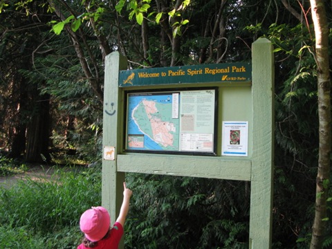 forest guide