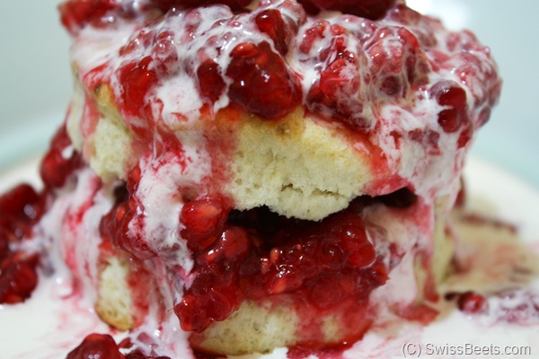 Raspberry Shortcake