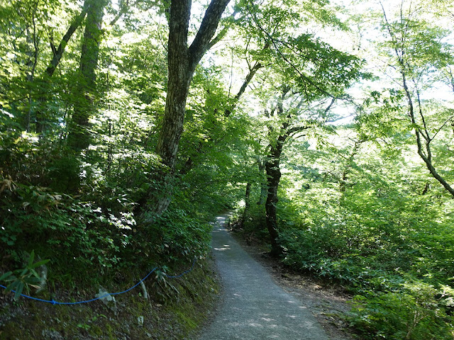 大山寺の散策路