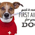 Guide to Making a First Aid Kit for your Dog