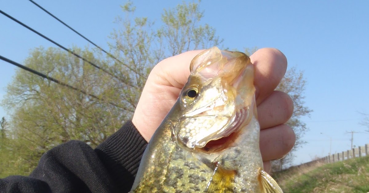 Bass Junkies Fishing Addiction: Under the Bridge: In search of Crappie