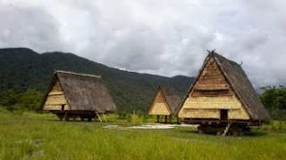 Rumah adat Suku Kaili, Sulawesi Tengah memiliki ketahanan terhadap gempa dan tsunami