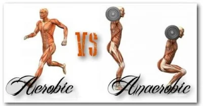 anaerobic-vs-aerobic-exercises