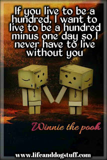 winnie the pooh love quote