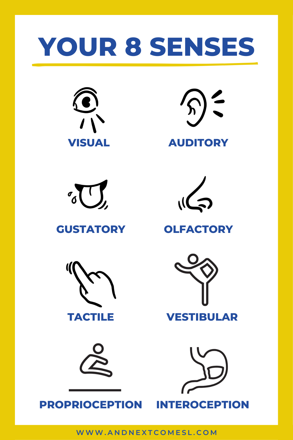 The names of the 8 senses