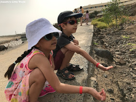 Children feeding squirrels in Fuerteventura