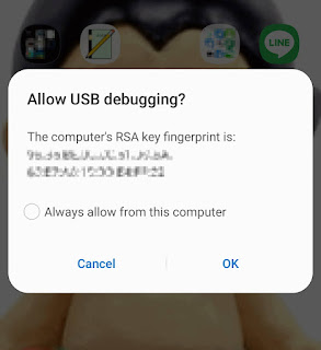 USBデバッグを許可しますか? (Allow USB debugging?)