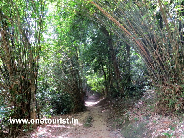 limestone caves in andaman