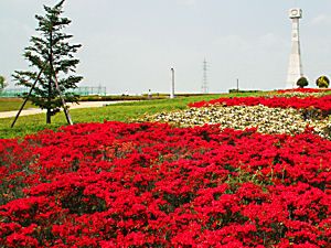 Four Seasons In Japan April 13