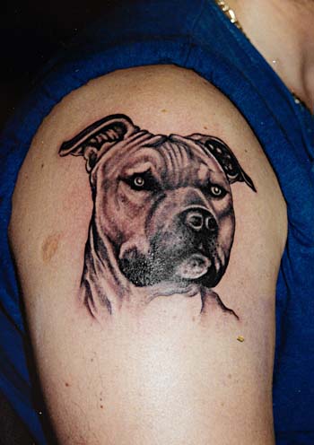 dog tattoo tattoo design old school la tattoo