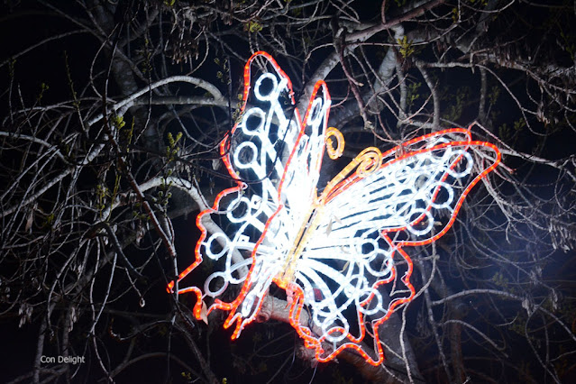 winter lights botanical garden Jerusalem