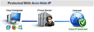 auto hide ip