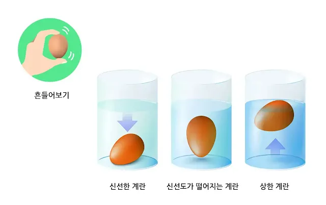 계란 신선도 확인
