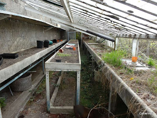 urbex-normandie-dreux-sanatorium-bas-buissons-serres-petit-pavillon-potager-jpg