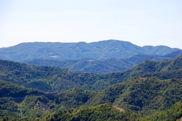 37-Lozzole e Lavane 37-Lozzole e Lavane
