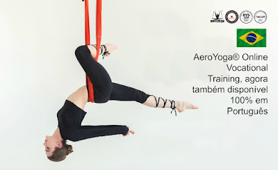 aerial yoga brasil