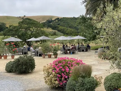 more seating for tasting at McEvoy Ranch in Petaluma, California